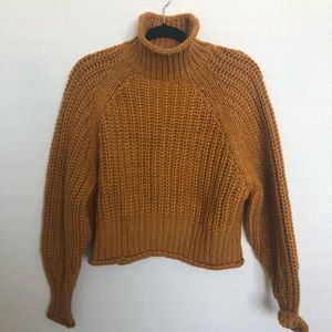 Cropped Knit Turtleneck